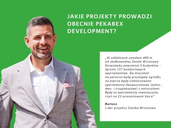Jakie-projekty-prowadzi-obecnie-pekabex-development