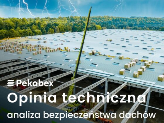 opinia_techniczna_hale_wielkopowierzchniowe