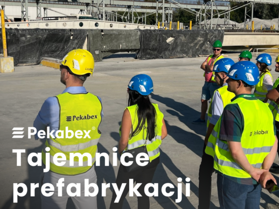 szkolenie_z_prefabrkacji