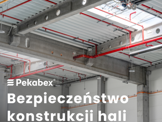 konstrukcja_hali_stalowej_a_zelbetowej
